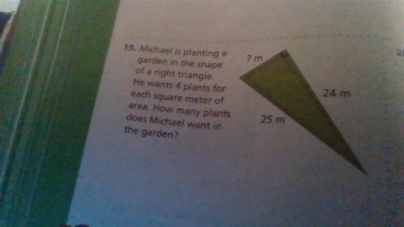 Micheal is planting a garden in the shape of a right triangle. He wants 4 plants for-example-1