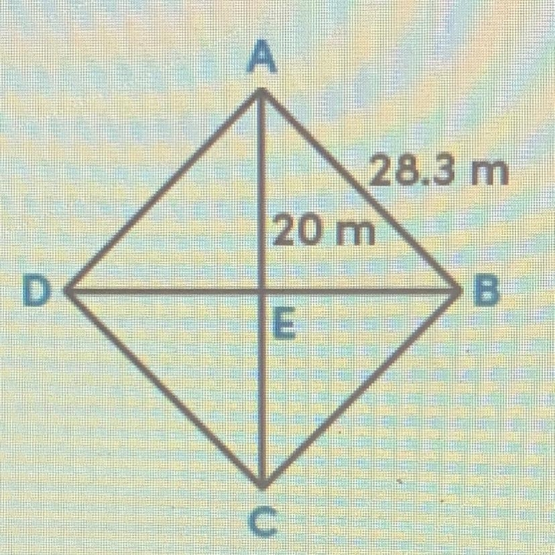 A garden is in the shape of a rhombus, with two diagonal walking paths. What is the-example-1