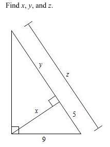 Find the value of x, y, and z.-example-1