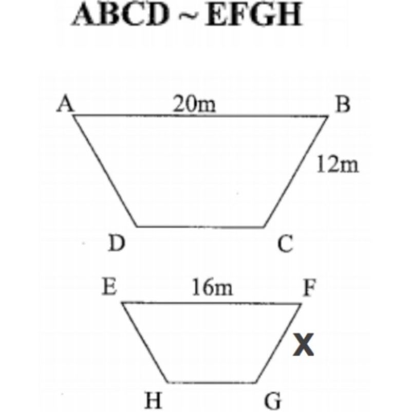 Proportional Relationships Solve for X-example-1