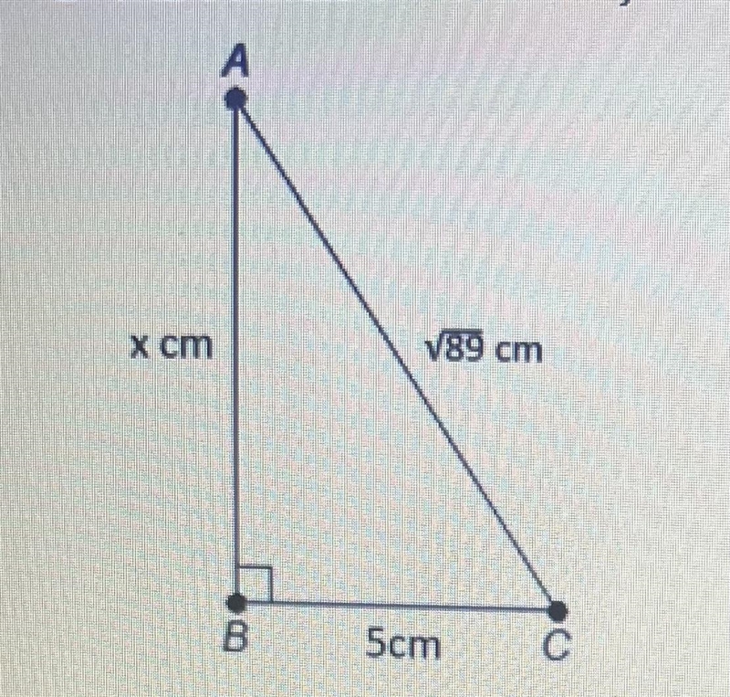 What is the value of x? Show all of your work.-example-1