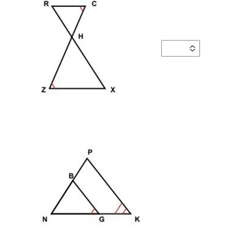 The following triangles are similar. True or False.-example-1