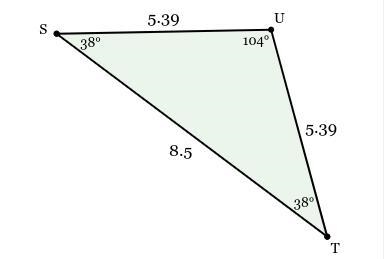 Determine the type of triangle that is drawn below.-example-1