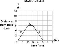 The distance, y, in centimeters, of an ant from a hole in the tree for a certain amount-example-1