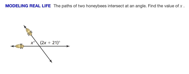 Find the value of x. 50 points-example-1