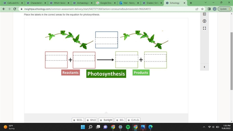 Choose the correct order-example-1