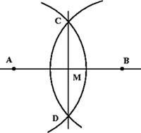 Assume you just created the construction shown. Explain how you would know that segments-example-1