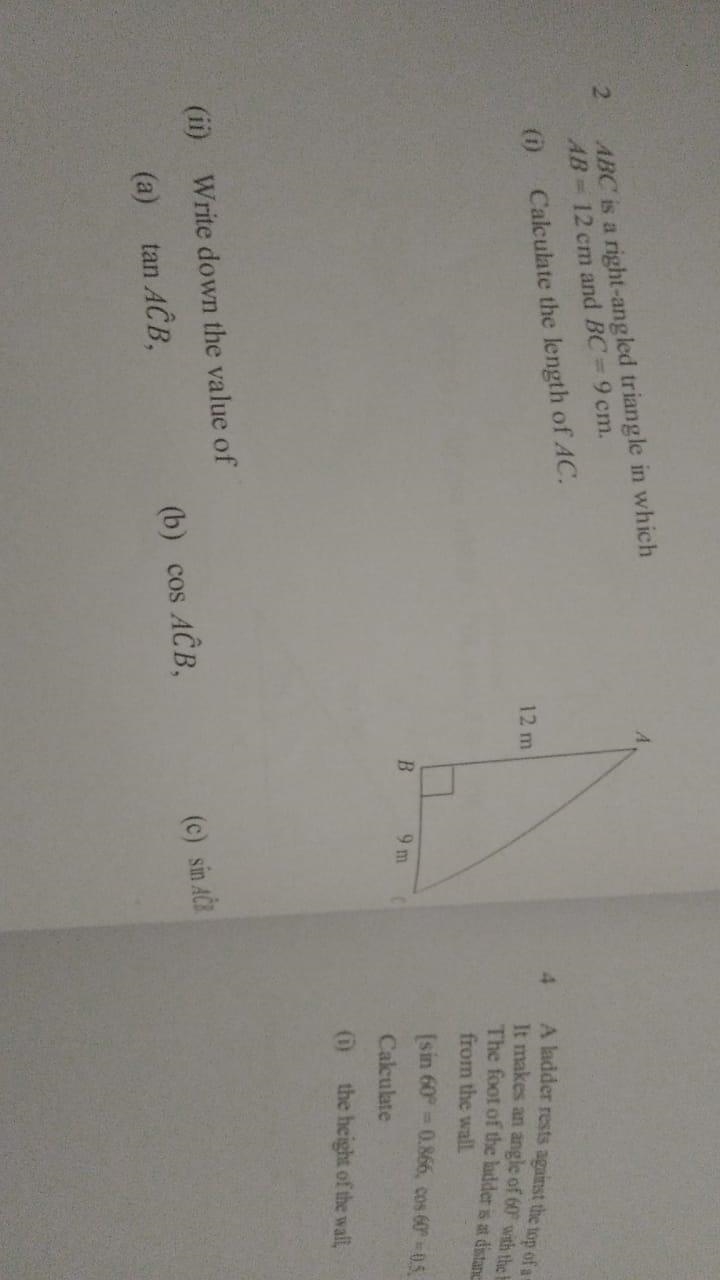 Calculate length of AC-example-1