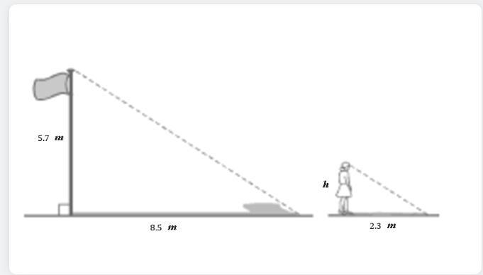 A 5.7 m flagpole casts a shadow of 8.5 m. m. Mae casts a shadow of 2.3 m. If Mae is-example-1