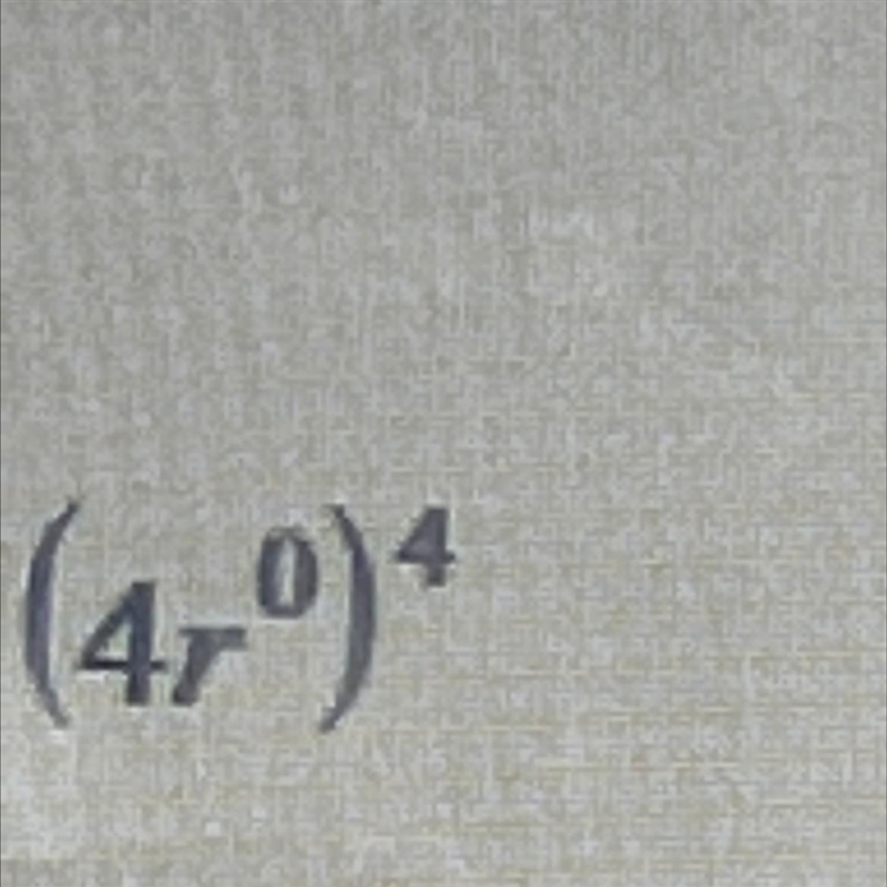 (4r^0)^4 please show work-example-1