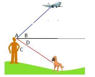 Which angle is the angle of depression for the man looking at his dog? A B C D-example-1