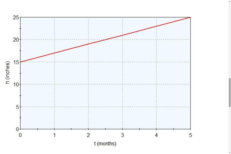 The graph shows the height in inches, h, of a palm tree t months after it has been-example-1