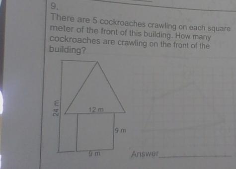 HELP HELP HEEEEEEEEEELP! There are 5 cockroaches crawling on each square meter of-example-1