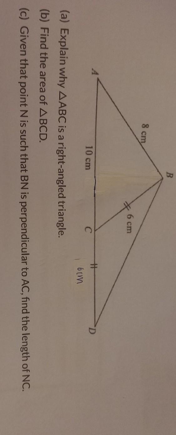 (b) Find the area of triangle BCD. ​-example-1