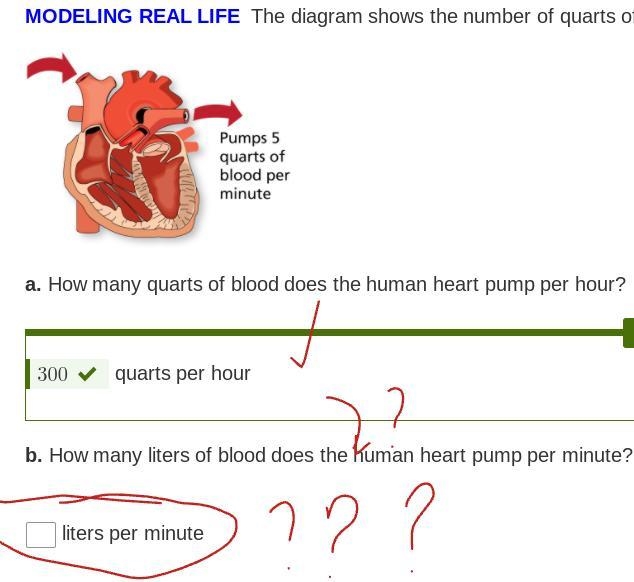 WHAT IS THE ANSWER TO HOW MANY LITTERS PER MINUTE-example-1