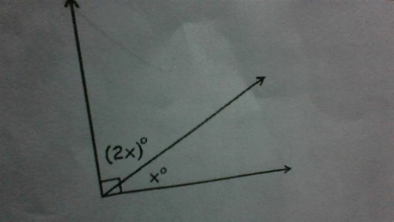 5) Solve for x and find both angle measurements --example-1