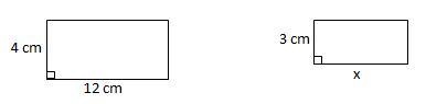 8. The area of the large rectangle is twice the area of the small rectangle. What-example-1