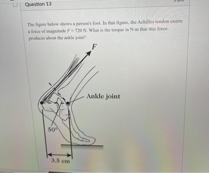 Question 13 The figure below shows a person's foot. In that figure, the Achilles tendon-example-1