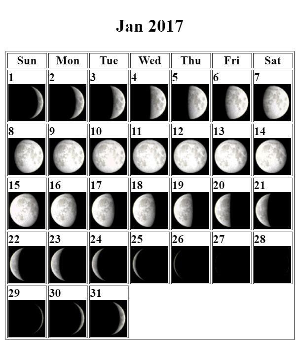 Do you think three weeks (21 days) is enough time to observe all of the Moon’s phases-example-1