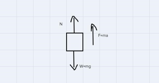 Draw a Free-Body Diagram showing the forcesacting on the person.-example-1