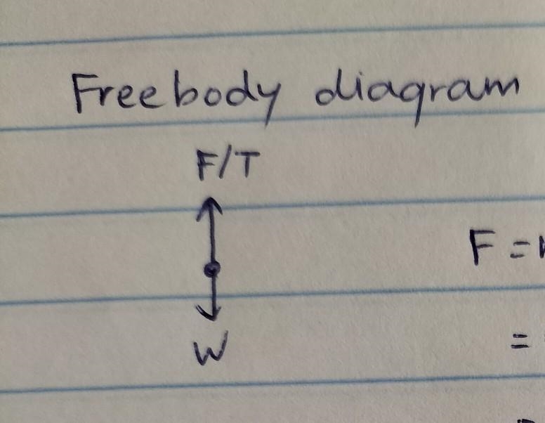 A 4.91 kg bucket of water is raised from a well by a rope. The upward acceleration-example-1