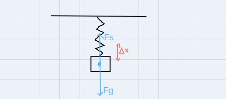 A 0.1 kg mass hangs vertically in equilibrium. In this position, the spring is extended-example-1