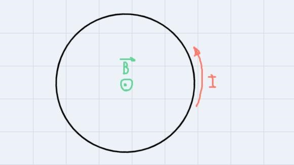 A circular loop of wire with a diameter of 25.935 cm is in the horizontal plane and-example-1