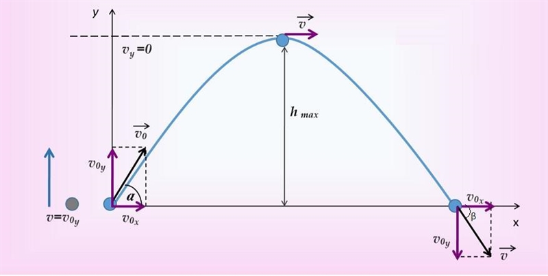 An object is launched at a velocity of 28 m/s in a direction making an angle of 23° upward-example-1