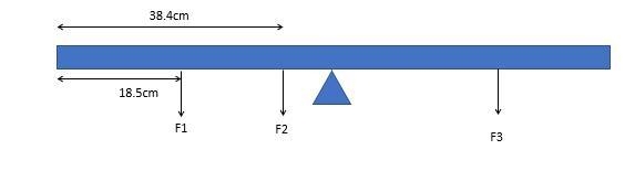 A uniform meter stick pivoted at its center has a 155-g mass suspended at the 18.5-cm-example-1