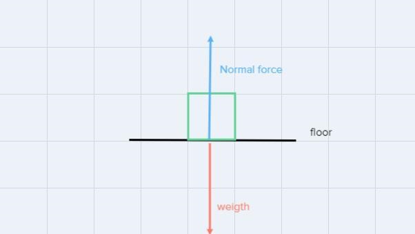 As a 600 N woman sits on the floor, the floor exerts a force on her ofa. 6 Nb. 60 NC-example-1