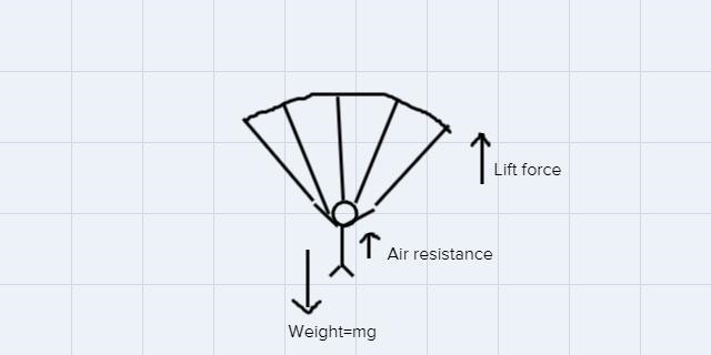 A 65kg skydiver opens her parachute. Air resistance to her body is 20 N and the lift-example-1