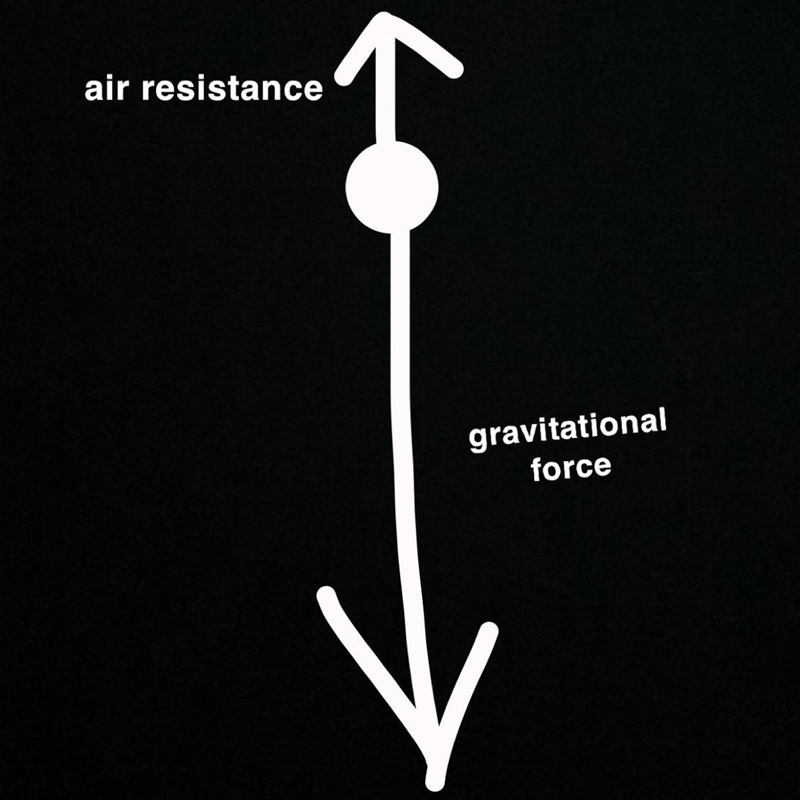 Draw a free body diagram of an object with a mass of 2kg falling down with a constant-example-1