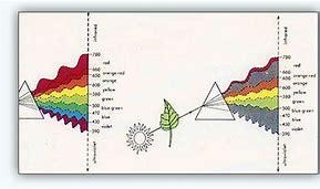 Draw a labelled diagram to show how a pure spectrum with white light maybe produced-example-1