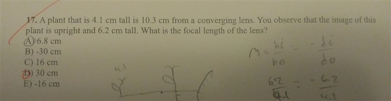 A plant that is 4.1 cm tall is 10.3 cm from a converging lens. You observe that the-example-1