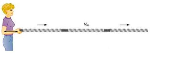 What type of wave is illustrated below? Longitudinal Transverse Surface wave Seismic-example-1