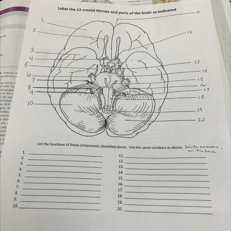 I need answers help please-example-1