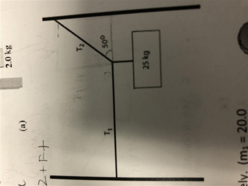 A 25kg mass is suspended at the end of a horizontal, massless rope that extends from-example-1