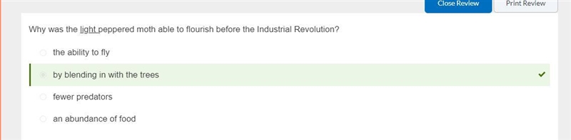 Why was the light peppered moth able to flourish prior to the Industrial Revolution-example-1