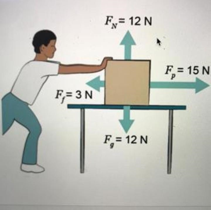 What is the magnitude and direction (right or left) of the net force acting on the-example-1