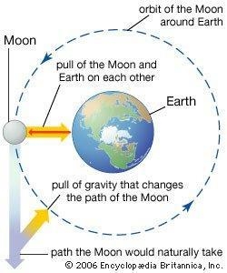 A moon orbits a planet in a circular orbit so that its velocity along the circular-example-1