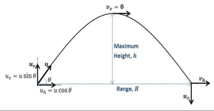 Is a projectile motion graph a straight graph or a curved graph ​-example-1