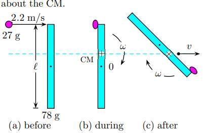 HELP STUCK IN PHYSICS 100PTS!!! A small piece of putty of mass 27 g and negligible-example-1