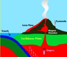 The picture shows volcanoes and a trench that form where plates move toward each other-example-1