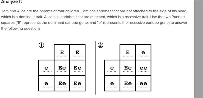 What must be true about the earlobes of Tom's parents? What must be true about the-example-1