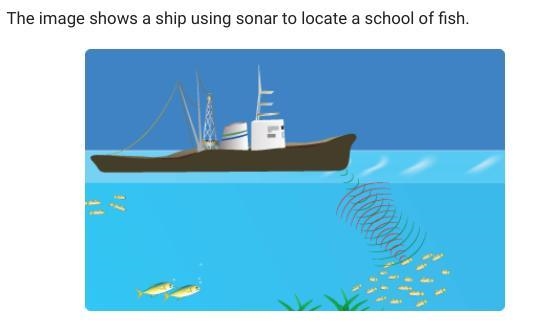 The image shows a ship using sonar to locate a school of fish. Which data are used-example-1