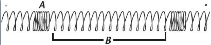 Q1: What type of mechanical wave is produced by the action of this coiled spring? Q-example-1