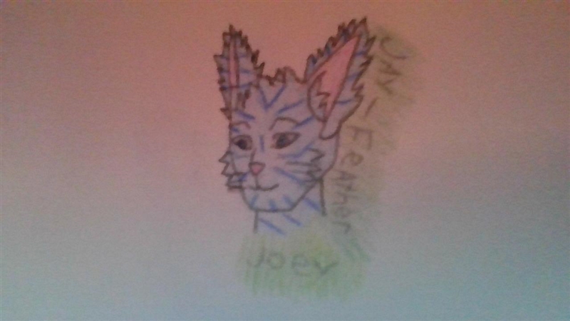 This is my pictures of leafpool and jayfeather-example-1