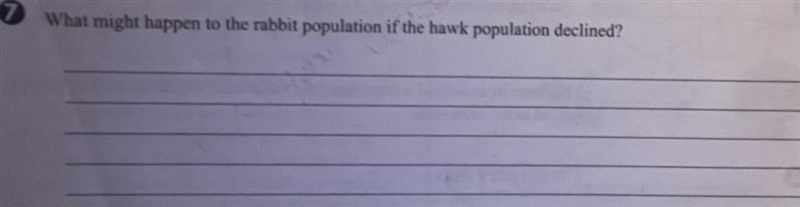 What might happen to the rabbit population if the hawk population declined ?-example-1