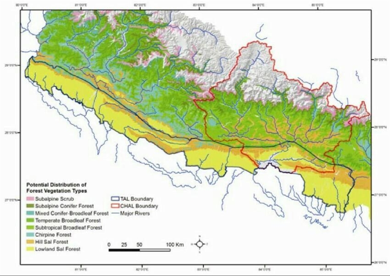 Show the distribution pf natural vegetation in an outline map of nepal​-example-1