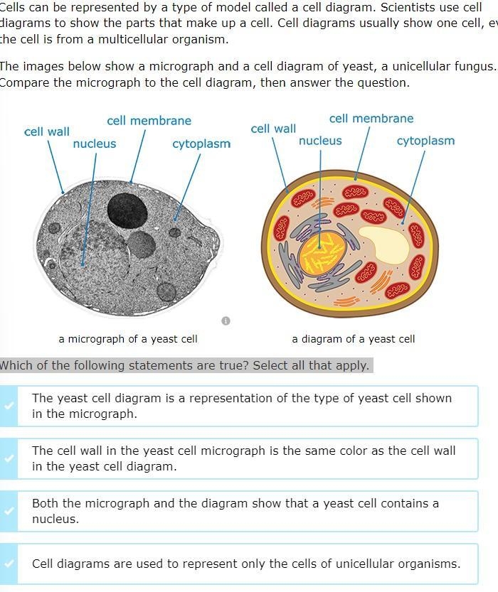 HELP!!!! THIS IS SCIENCE-example-1